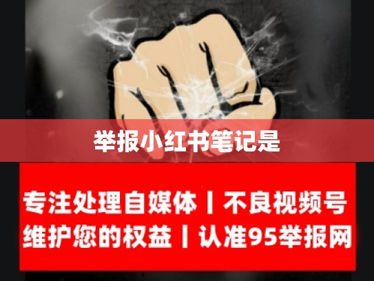 举报小红书笔记是