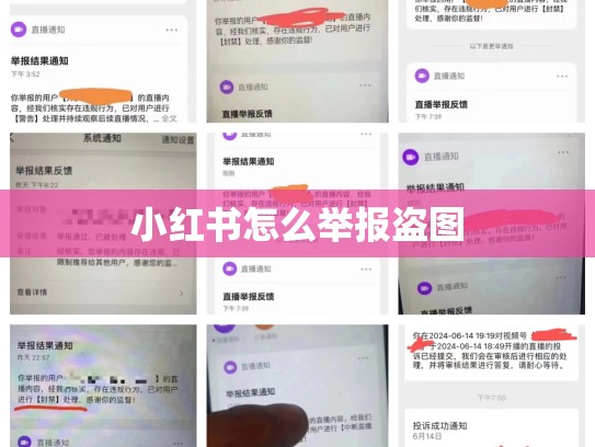 小红书怎么举报盗图