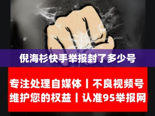 倪海杉快手举报封了多少号