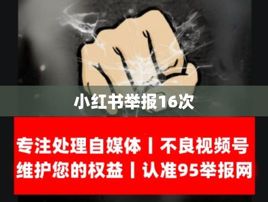小红书举报16次