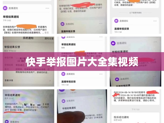 快手举报图片大全集视频