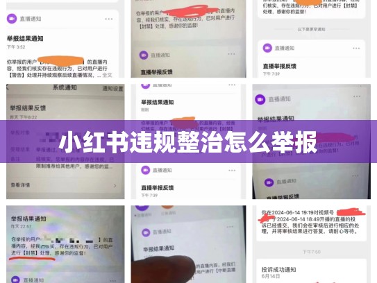 小红书违规整治怎么举报