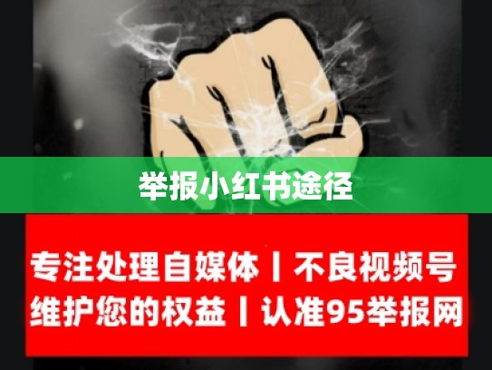 举报小红书途径