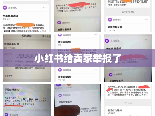 小红书给卖家举报了