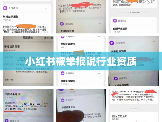 小红书被举报说行业资质