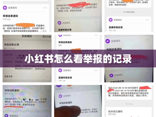 小红书怎么看举报的记录