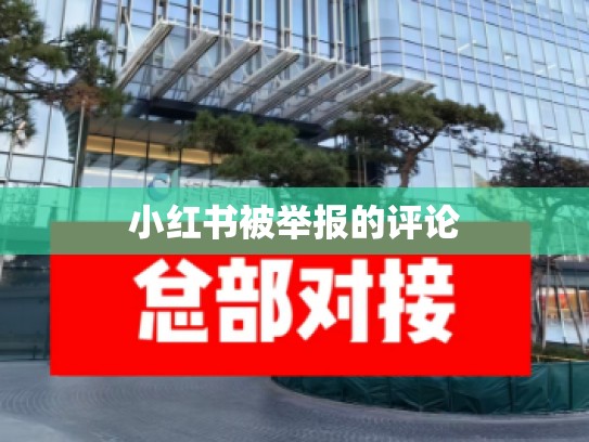 小红书被举报的评论