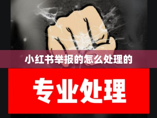 小红书举报的怎么处理的