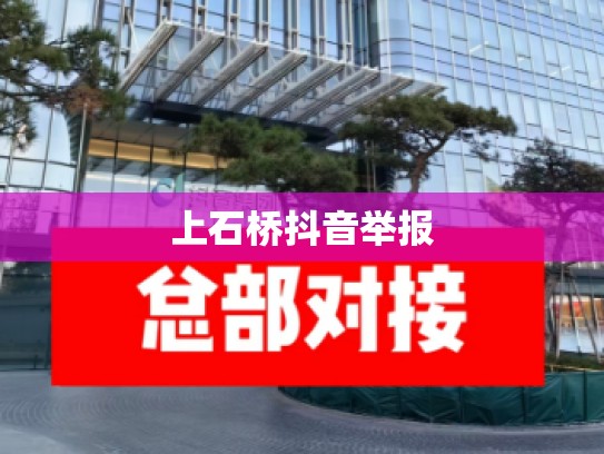 上石桥抖音举报