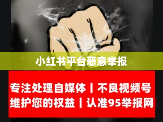 小红书平台恶意举报