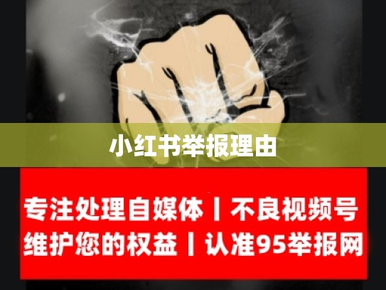 小红书举报理由