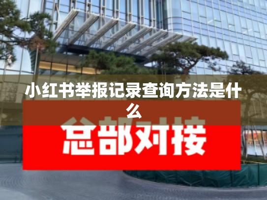 小红书举报记录查询方法是什么
