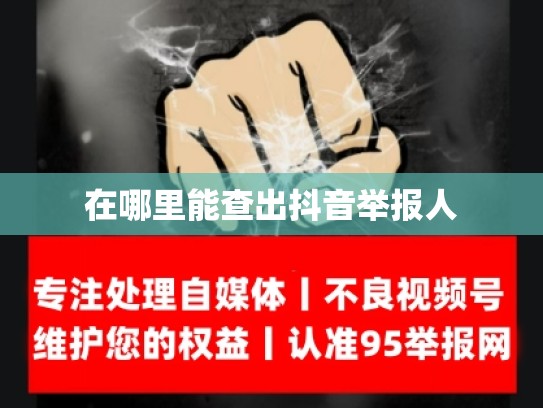 在哪里能查出抖音举报人