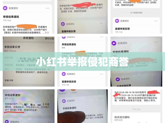 小红书举报侵犯商誉