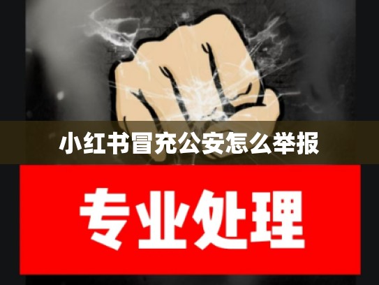 小红书冒充公安怎么举报