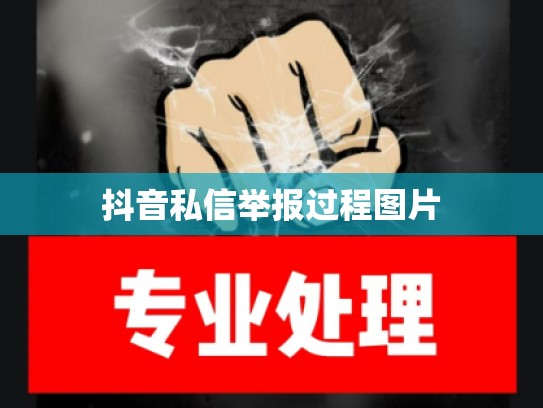 抖音私信举报过程图片
