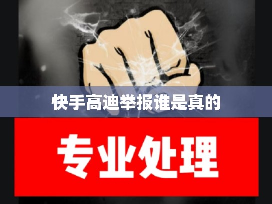 快手高迪举报谁是真的