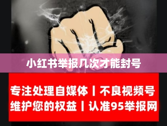 小红书举报几次才能封号