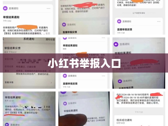 小红书举报入口