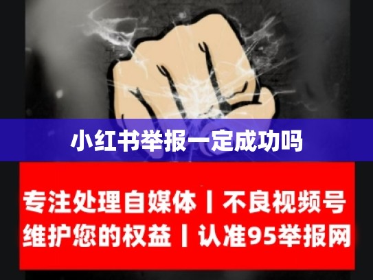 小红书举报一定成功吗