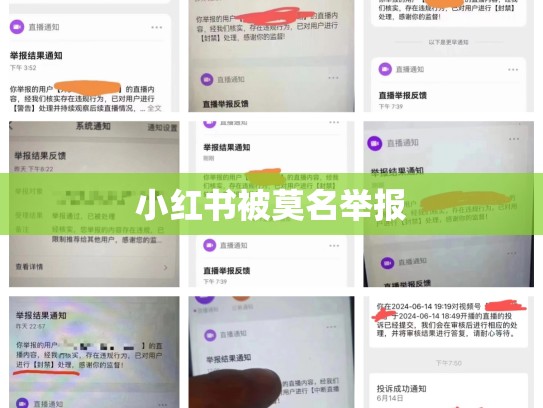 小红书被莫名举报