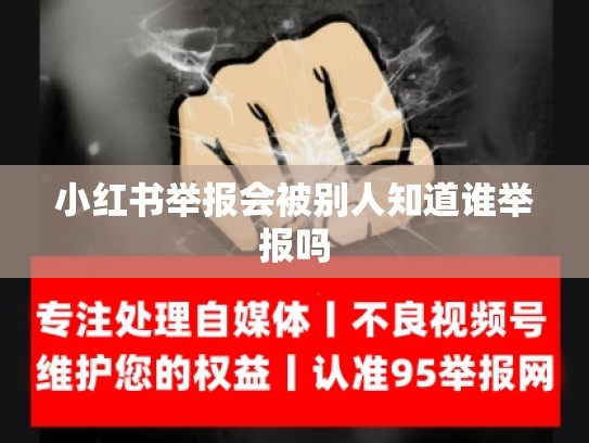 小红书举报会被别人知道谁举报吗