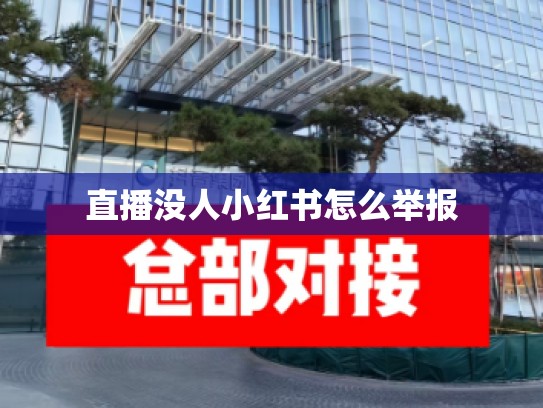 直播没人小红书怎么举报