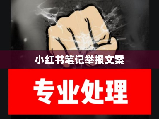 小红书笔记举报文案