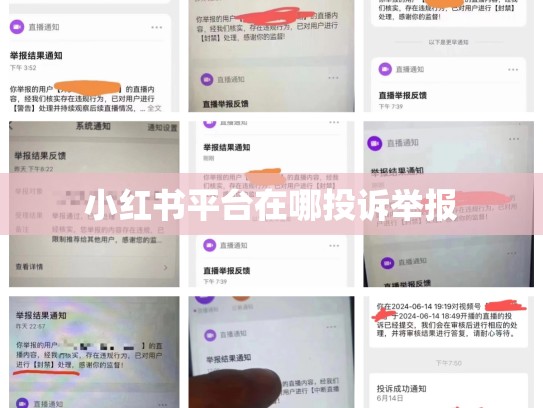 小红书平台在哪投诉举报
