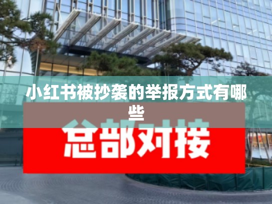 小红书被抄袭的举报方式有哪些