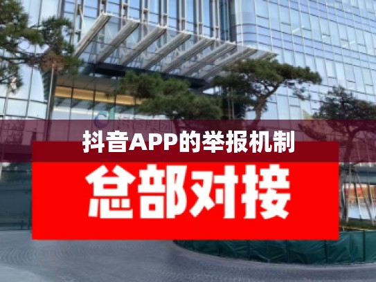 抖音APP的举报机制