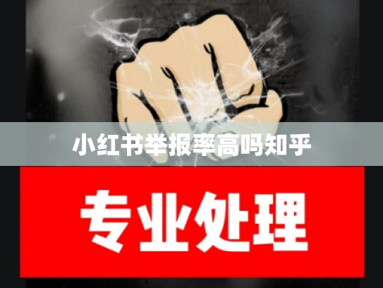 小红书举报率高吗知乎