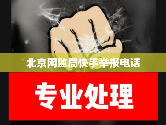 北京网监局快手举报电话