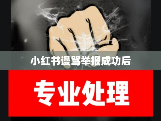 小红书谩骂举报成功后