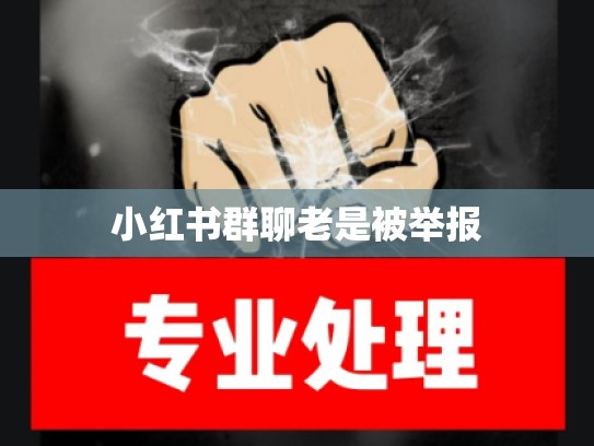 小红书群聊老是被举报