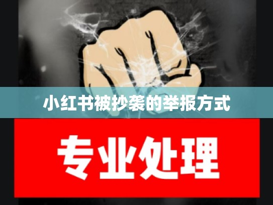 小红书被抄袭的举报方式