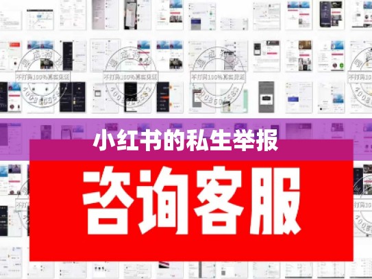 小红书的私生举报
