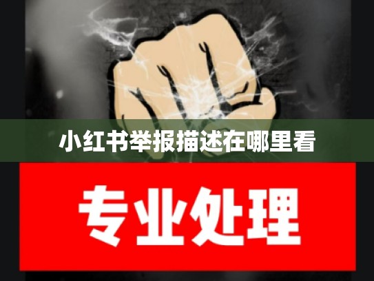 小红书举报描述在哪里看