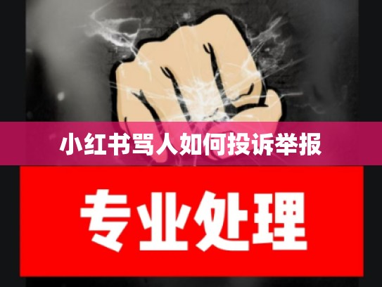 小红书骂人如何投诉举报