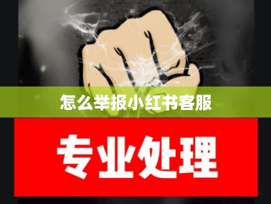 怎么举报小红书客服