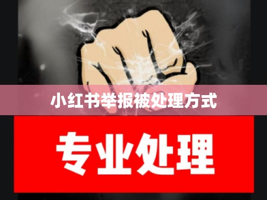 小红书举报被处理方式