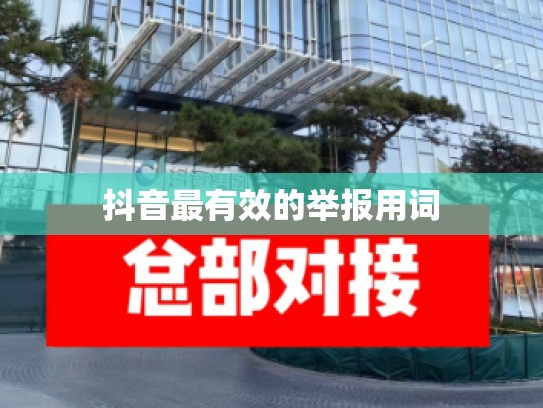 抖音最有效的举报用词