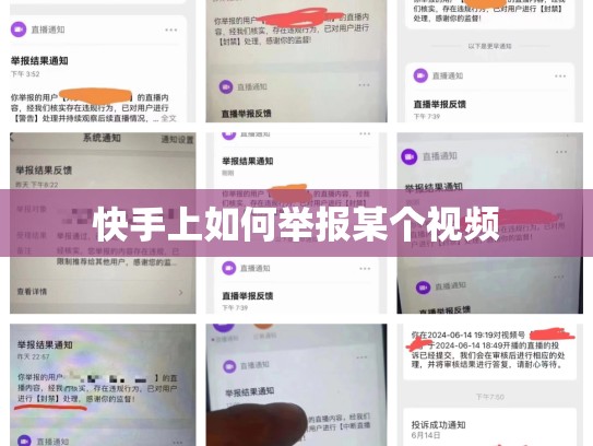 快手上如何举报某个视频
