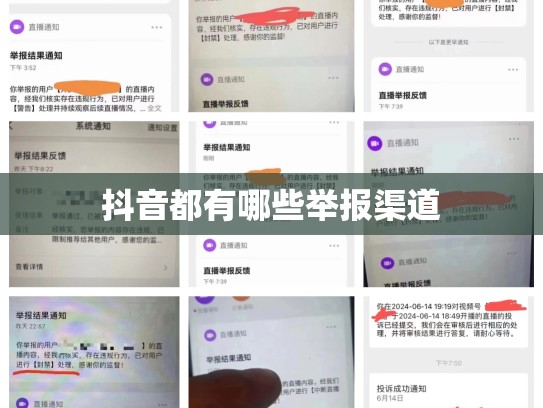 抖音都有哪些举报渠道