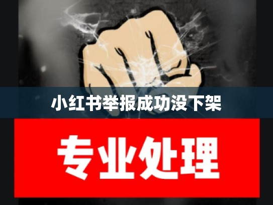小红书举报成功没下架