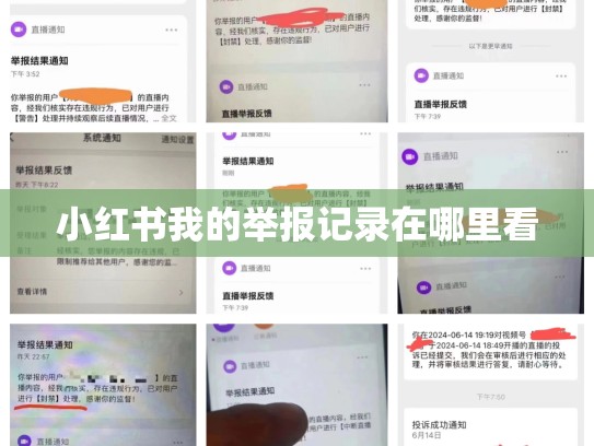 小红书我的举报记录在哪里看