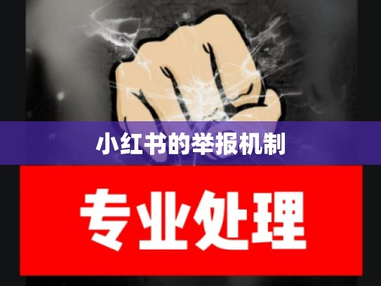 小红书的举报机制