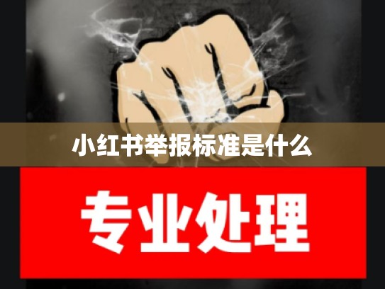 小红书举报标准是什么