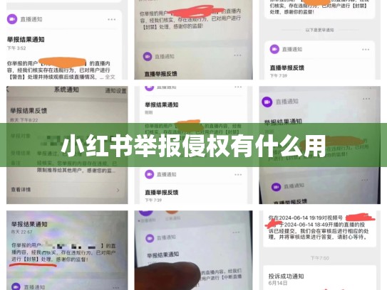 小红书举报侵权有什么用