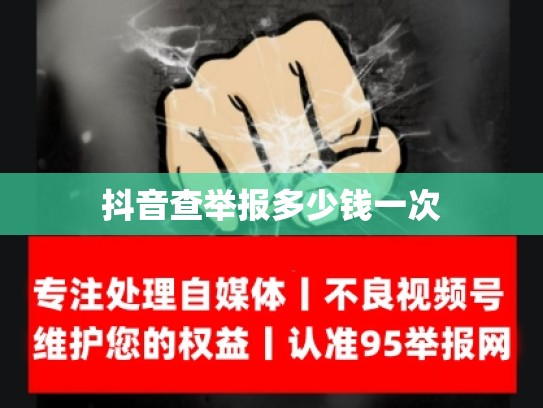 抖音查举报多少钱一次